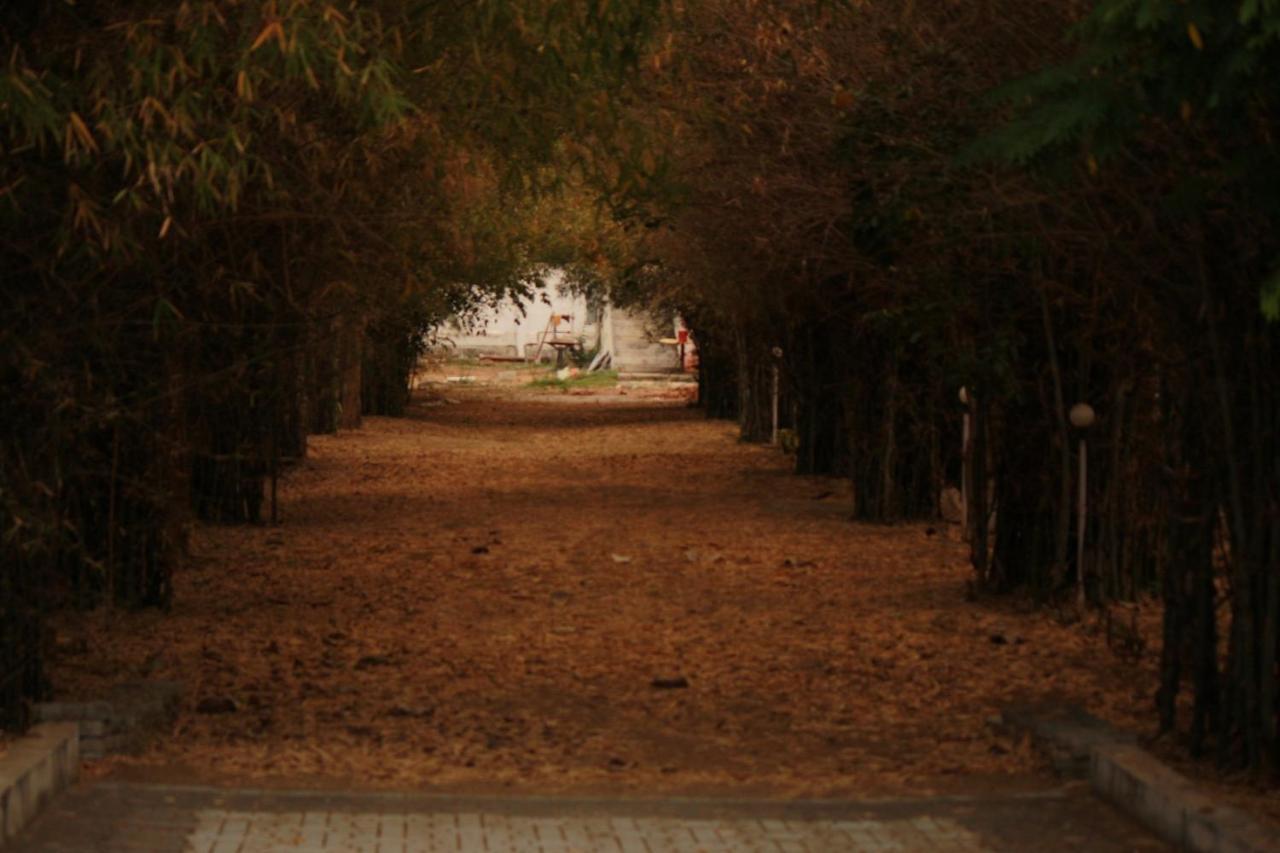 Vividearth Resorts Bandipūr Εξωτερικό φωτογραφία